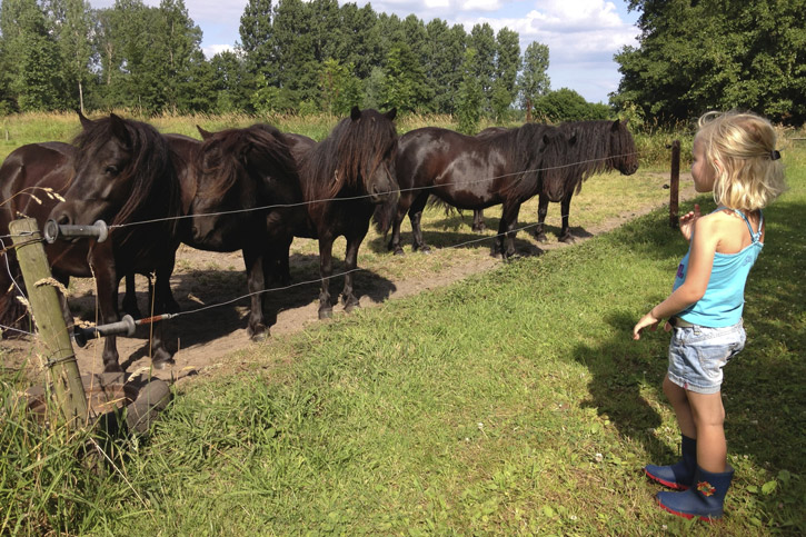 Lize bij de pony's