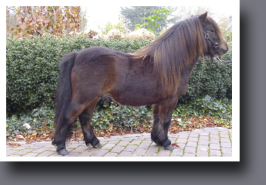 Ga naar: Choco